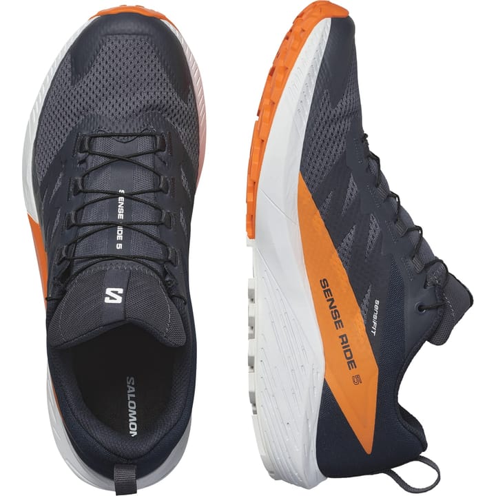 Salomon Men's Sense Ride 5 GORE-TEX India Ink/Carbon/Dragon